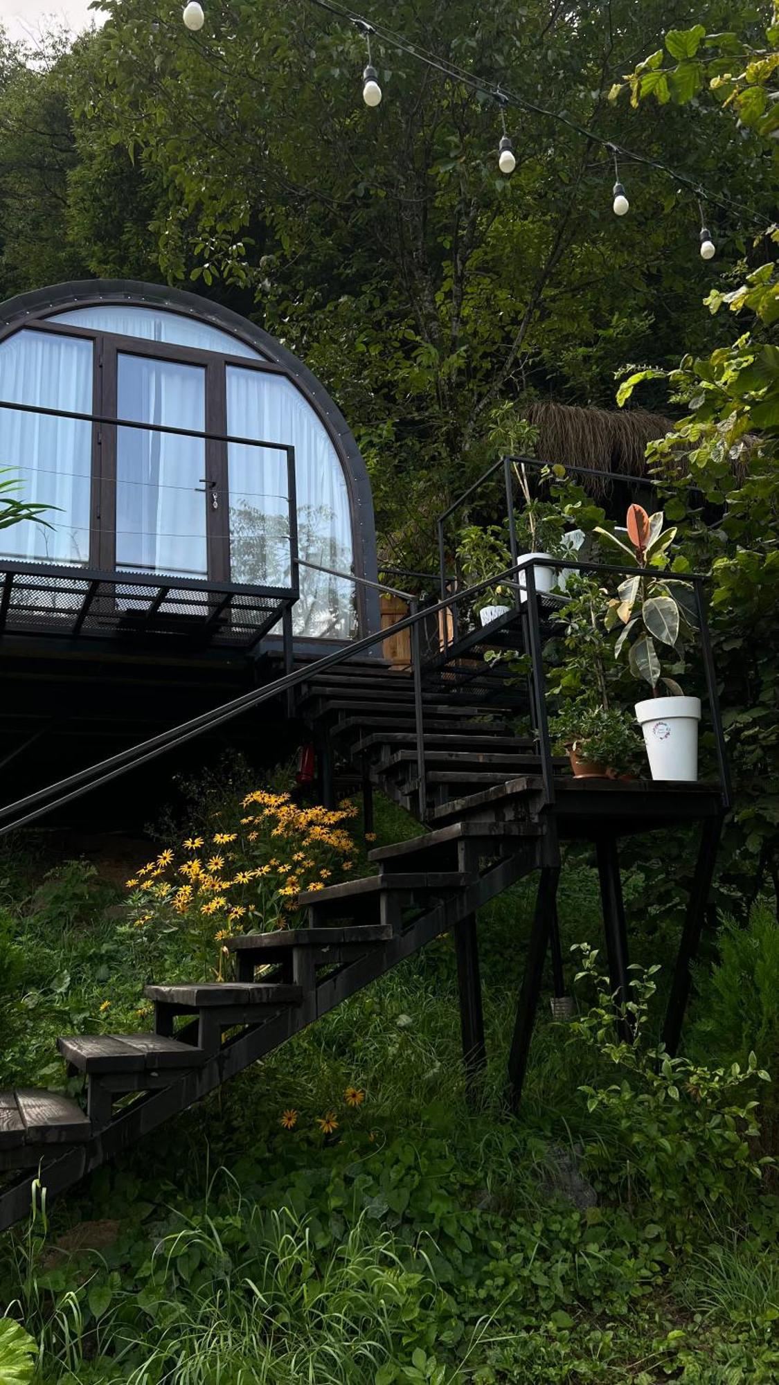 Zeda Chkhutuneti Woodhide - Cottages Near Batumi, Georgia מראה חיצוני תמונה