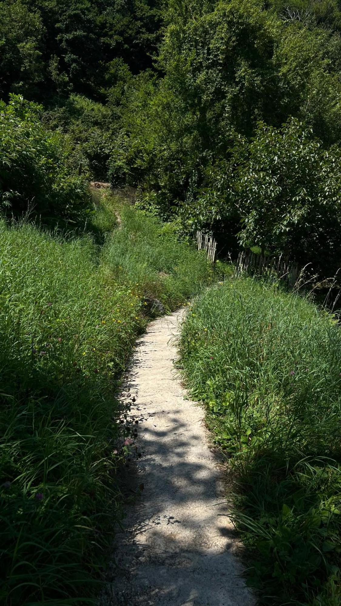 Zeda Chkhutuneti Woodhide - Cottages Near Batumi, Georgia מראה חיצוני תמונה