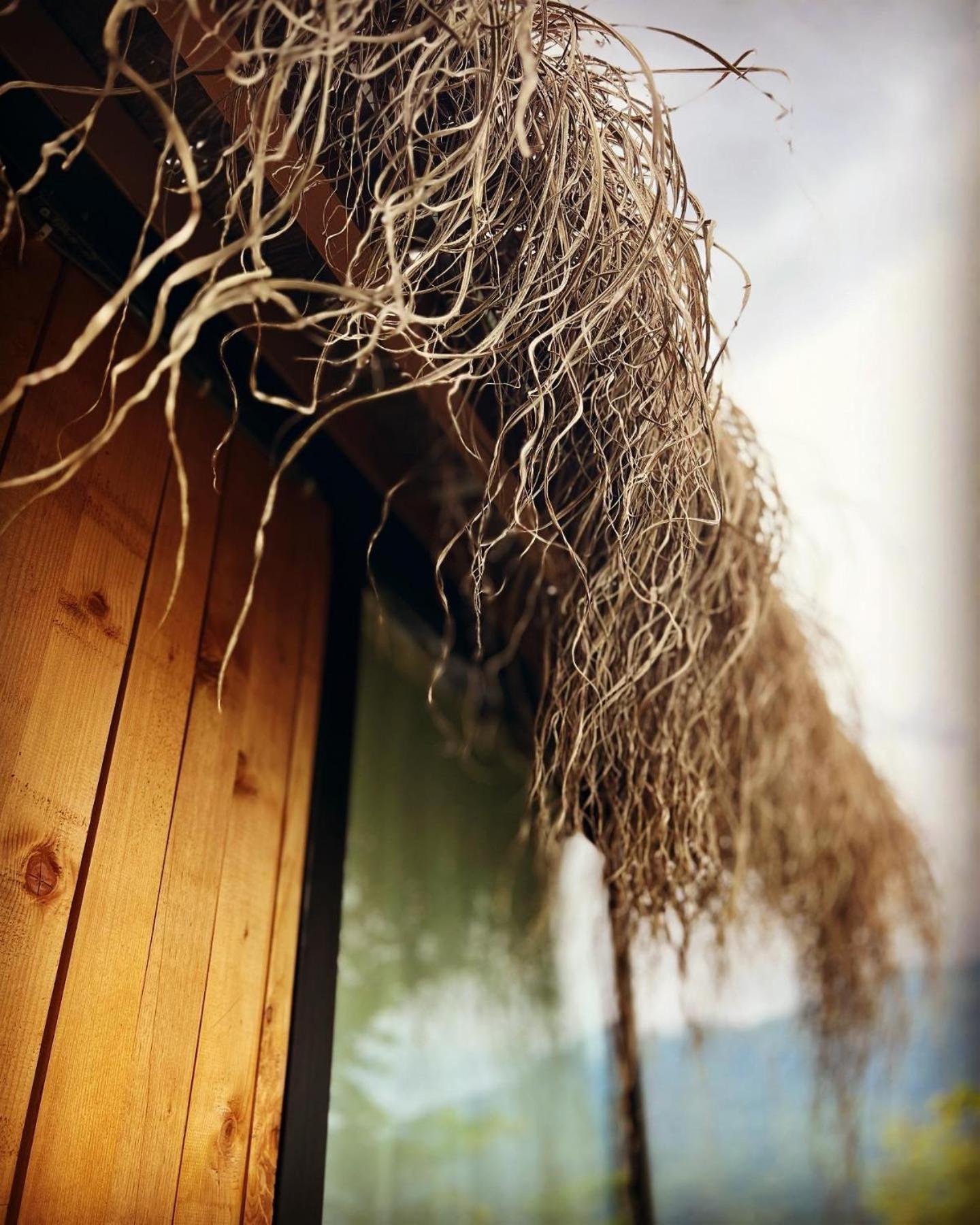 Zeda Chkhutuneti Woodhide - Cottages Near Batumi, Georgia מראה חיצוני תמונה