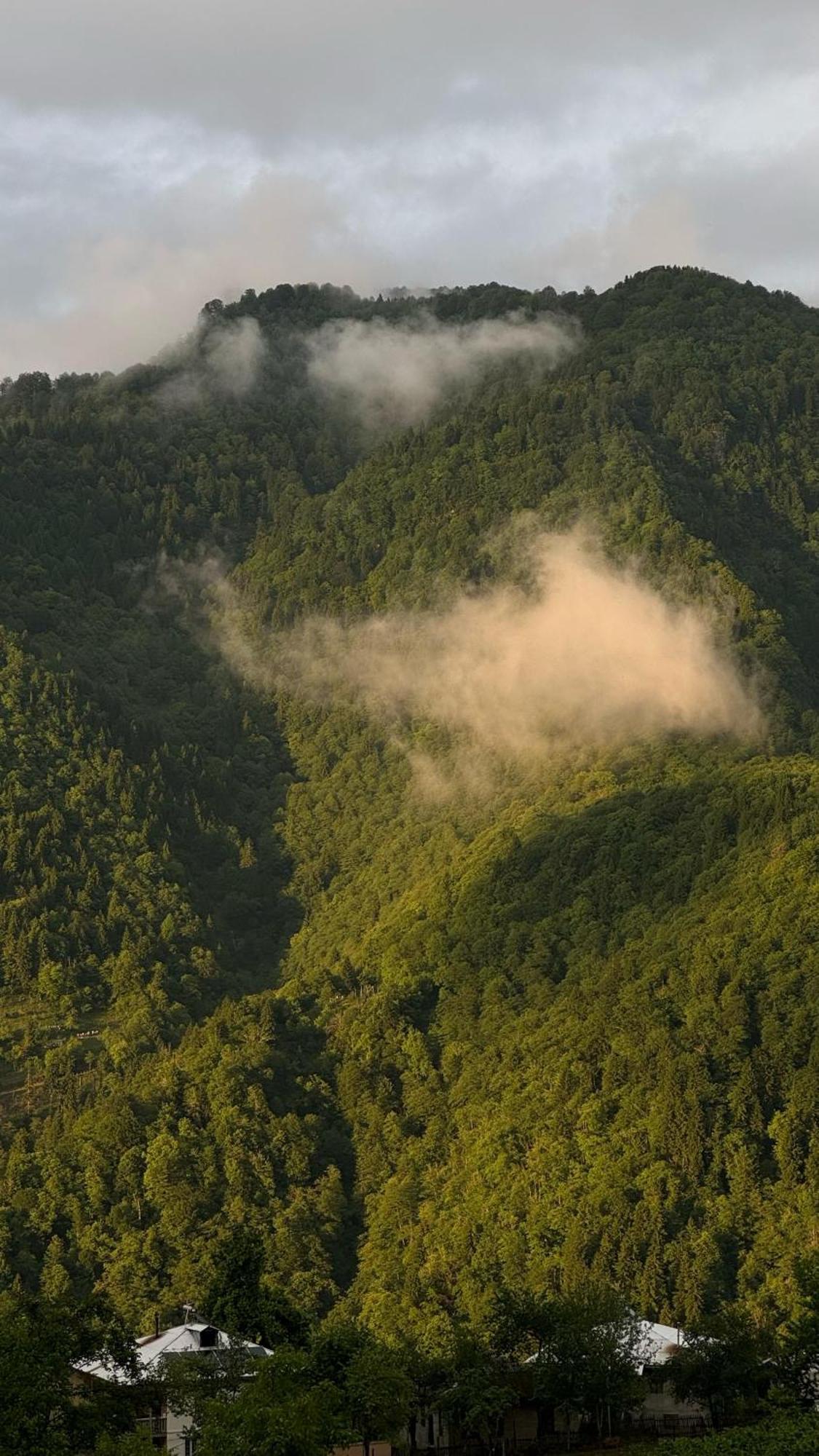 Zeda Chkhutuneti Woodhide - Cottages Near Batumi, Georgia מראה חיצוני תמונה