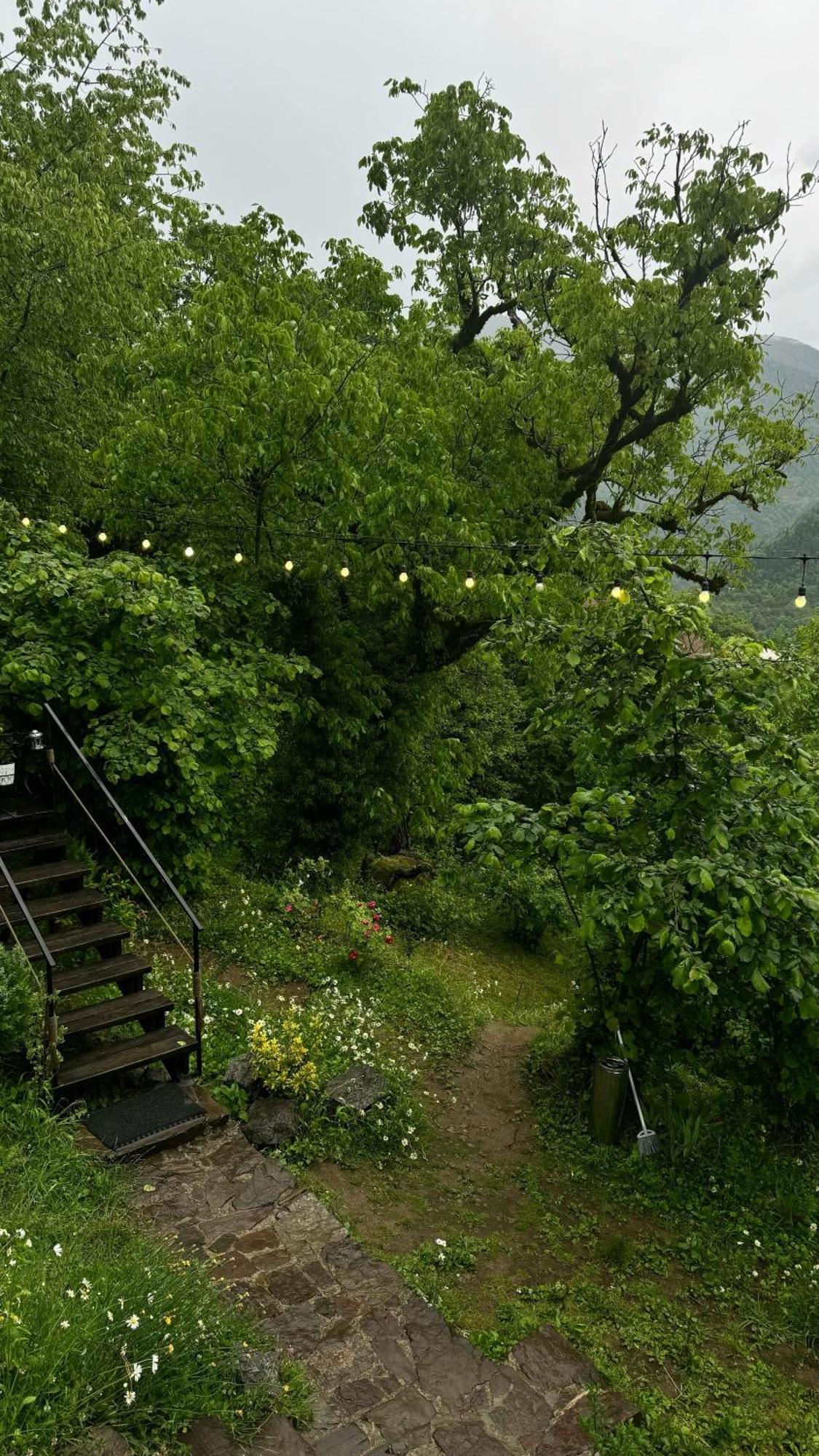 Zeda Chkhutuneti Woodhide - Cottages Near Batumi, Georgia מראה חיצוני תמונה