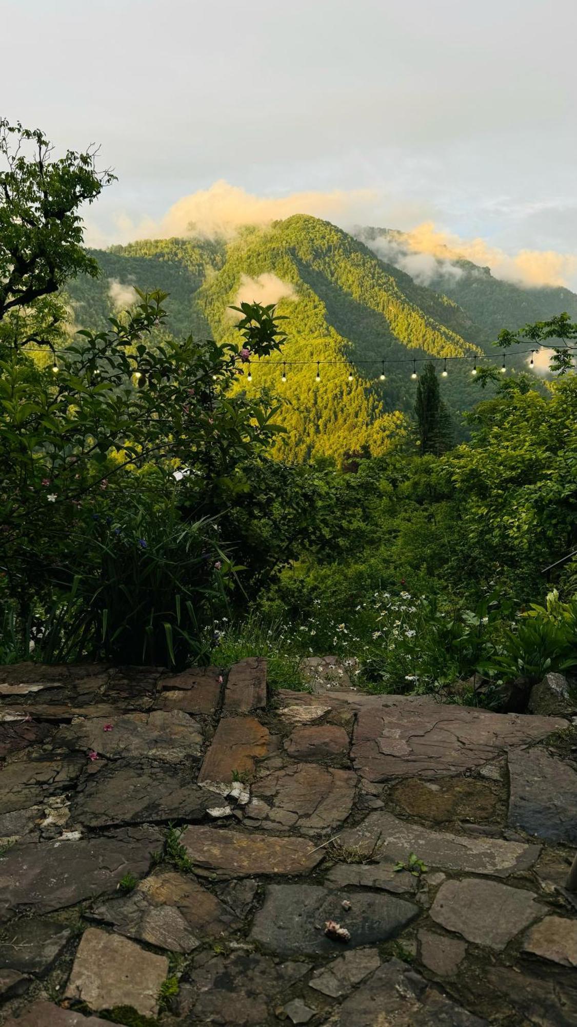 Zeda Chkhutuneti Woodhide - Cottages Near Batumi, Georgia מראה חיצוני תמונה